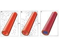 Finally a promising natural nanomaterial