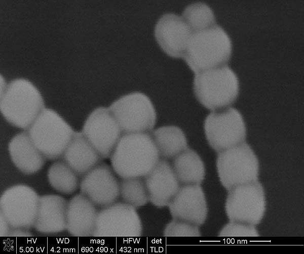 Bio-inspired autonomous materials