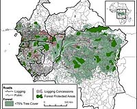 Woods Hole Research Center Scientists Study Impacts Of Industrial Logging In Central Africa