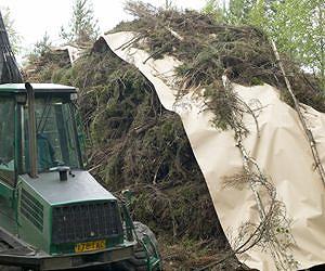 Walki Biomass Cover: Improves Drying Process And Energy Content Of Energy Wood