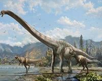 Long-necked 'dragon' discovered in China