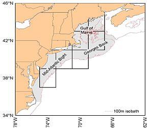 Changing Sea Temps and Water Circulation Affecting Food Supply Of Atlantic Cod