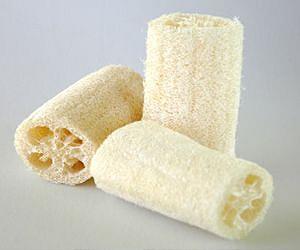 Turning waste into power with bacteria and loofahs