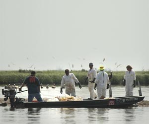 Gulf oil spill clean-up is difficult but much-needed work