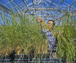 Berkeley Highlights Challenges Meeting 2050 Energy Goals