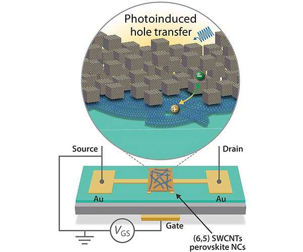 Scientists at NREL report new synapse-like phototransistor