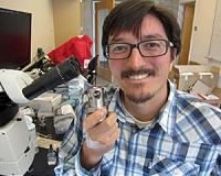 A stiff new layer in Earth's mantle