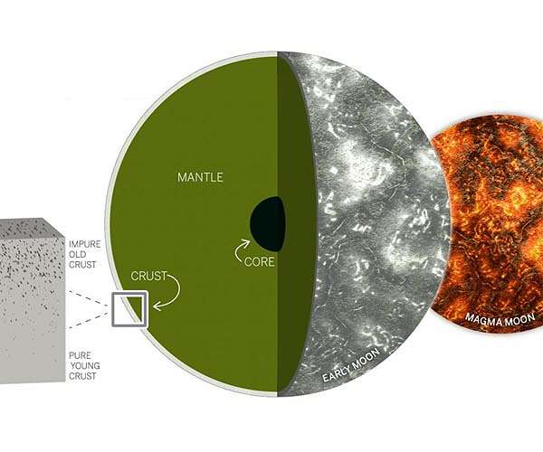 Magnetic fields on the moon are the remnant of an ancient core dynamo