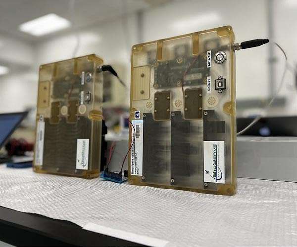 Studying yeast DNA in space may help protect astronauts from cosmic radiation
