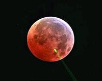 Source of 'Moon Curse' Revealed by Eclipse