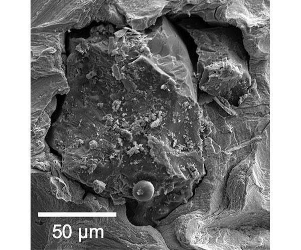 NASA chooses 4 firms for first private lunar sample collection