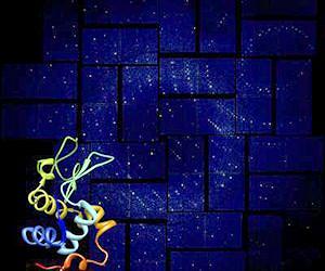 X-ray laser probes biomolecules to individual atoms