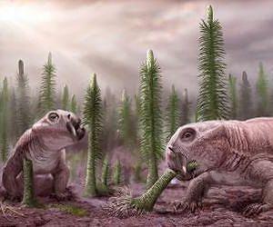Land animals, ecosystems walloped after Permian dieoff