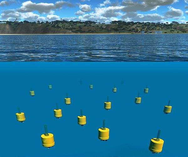 Robotic Swarms Mimic Nature to Advance Collective Performance