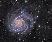 Fat or flat: getting galaxies into shape