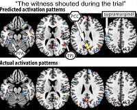 Beyond bananas: 'Mind reading' technology decodes complex thoughts