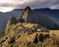 Peru to plant one million trees around Machu Picchu