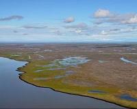Canada Safe Despite Fukushima Radiation in British Columbia Waters