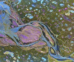TerraSAR-X brings lively winter view into focus