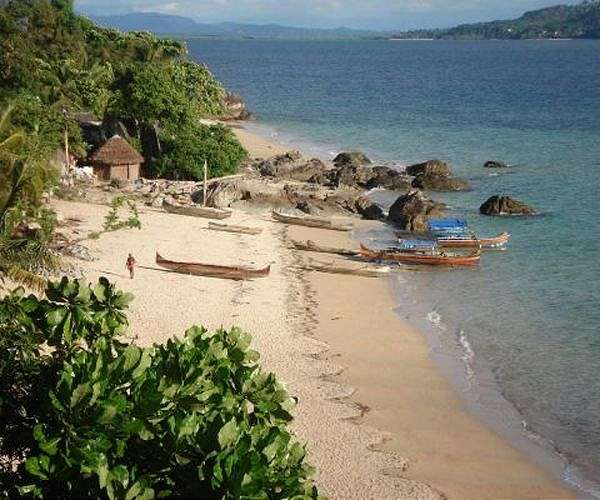 Restoring Madagascar's unique biodiversity would take millions of years