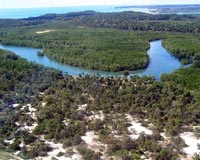 Madagascar forests face destruction