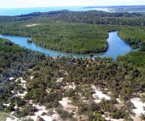 World Bank to fund environment projects in Madagascar