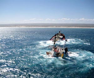 NZealand PM demands oil slick answers
