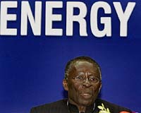 Analysis: Nigeria to mimic Saudi Arabia