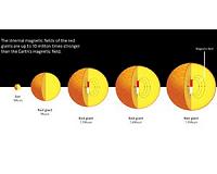 Strong magnetic fields discovered in majority of stars