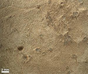 NASA's Big Mars Rover Makes First Use Of Its Brush