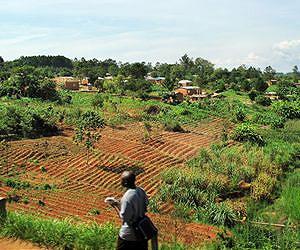 Malawi faces food shortage