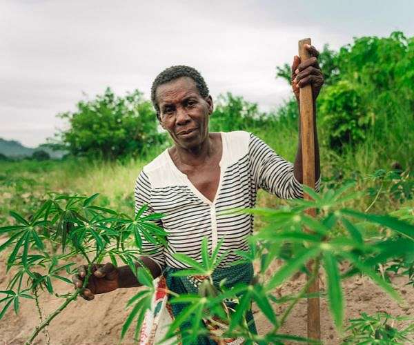 Malawi seeks $200mn aid over El Nino-linked starvation risk