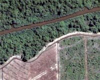 Malaysia's Penan mount anti-logging blockade: activists