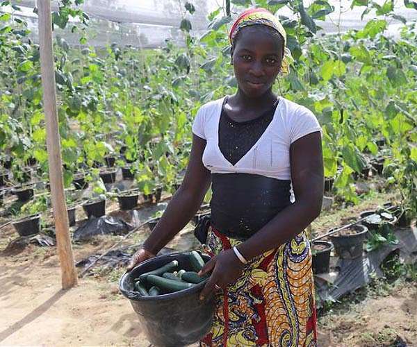 Diversified Farming Proves Beneficial for Food Security and Biodiversity
