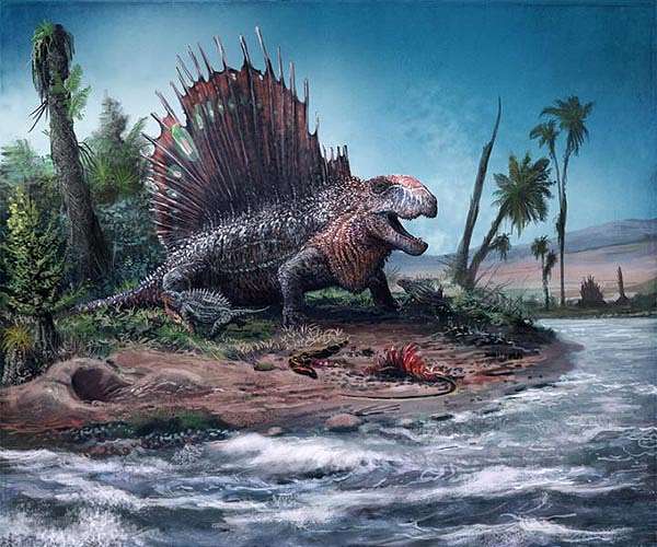 Darwinian theory of gradual process explained in new research