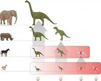 Ancient eggshell protein to help scientists study evolutionary history