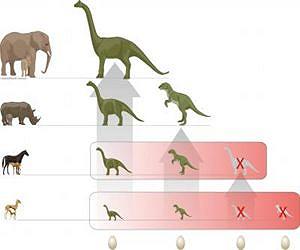Egg-laying beginning of the end for dinosaurs