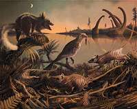 DNA from ancient packrat nests reveals Earth's ecological history