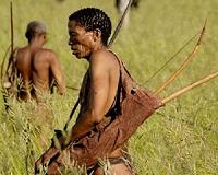 Wars and clan structure may explain a strange biological event 7,000 years ago