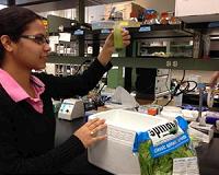 New analysis advances our understanding of photosynthesis
