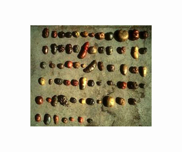It's not them, it's you: Why potatoes don't deserve their bad reputation