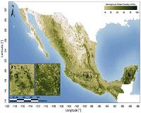 Approval of a PV Project Development in Mexico