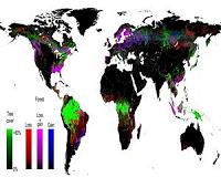 UN report urges nations to take better care of world's forests