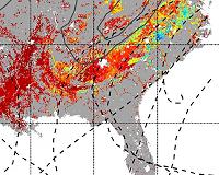 Hurricanes key to carbon uptake by forests