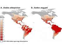 Global maps enabling targeted interventions to reduce burden of mosquito-borne disease