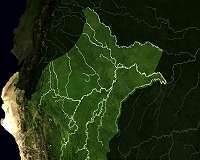 How does the Amazon rain forest cope with drought?