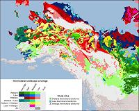 New permafrost map shows regions vulnerable to thaw, carbon release