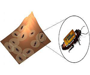 Software Uses Cyborg Swarm To Map Unknown Environs