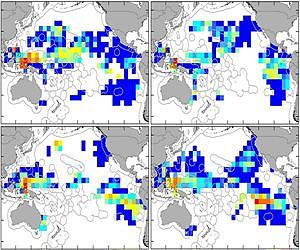 GPS Traffic Maps for Leatherback Turtles Show Hotspots to Prevent Accidental Fishing Deaths