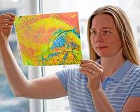 More study needed to clarify impact of cellulose nanocrystals on health